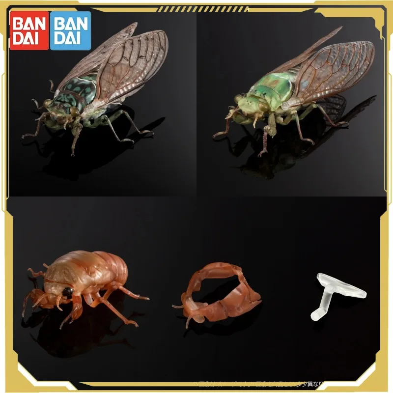 반다이 생물학 백과사전 액션 피규어 모델 매미 반점 날개 매미 가샤폰 장식품 정품 수집 장식품