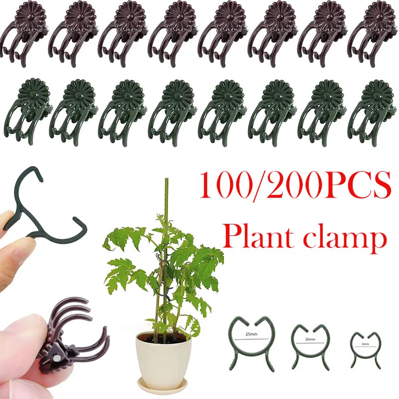 100/200x Plastic Orchid Clips Plant Support Clip Flower and Vine for Supporting Stems Vines Flower Grow Upright Garden Supplies