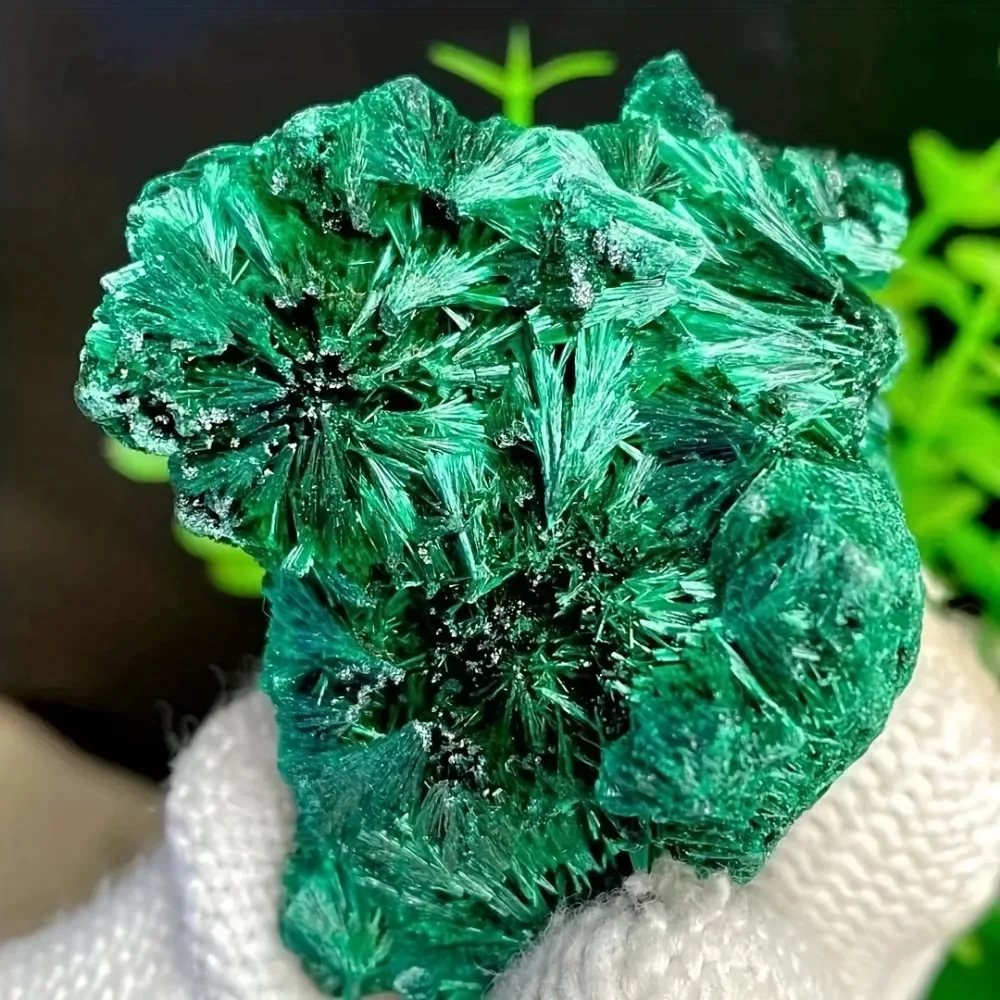 Natural Velvet Malachite Raw Specimen Mineral Collection Precious Crystal Cluster