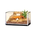 Lizard