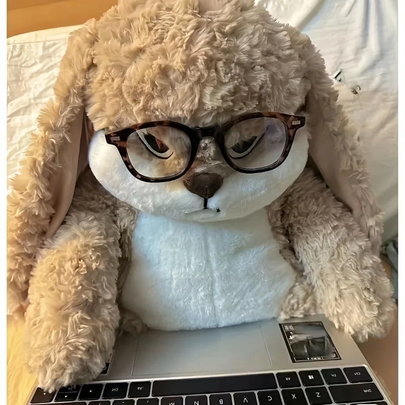 Lovely Didiudiu Rabbit Plush Toy Super Cute Rabbit Doll Soothing Pillow Birthday Gift for Friends