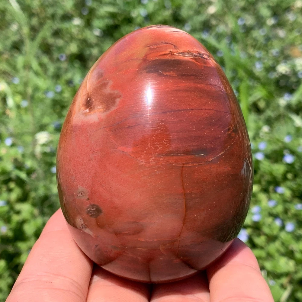 Natural Petrified Wood Egg Stones Perfect for Home Decor or A Thoughtful Holiday Gift for Meditation Reiki Chakra Balancing