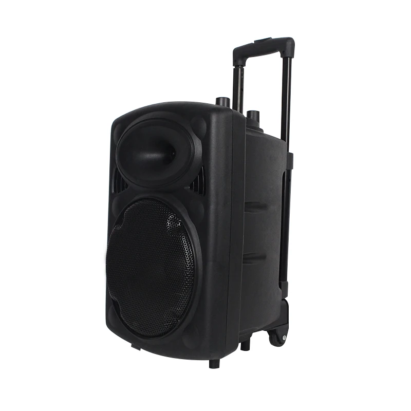 

12 Inch 130W Small Portable Wireless Plastic Trolley Speaker With Remote Control