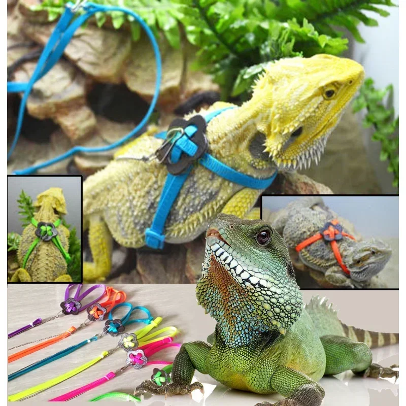 

Reptile Leash Lizard Traction Rope Climbing Pet Leash Walking Control Rope For Reptile Amphibians Chain Version Strap Collar