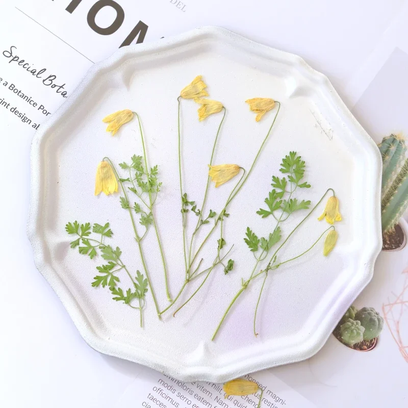Nature Pulsatilla Flower Dry Flower Embossed Painting Sticker Fluffy Resin Epoxy Phone Case Party Gift Card Bookmark,610cm/24pcs