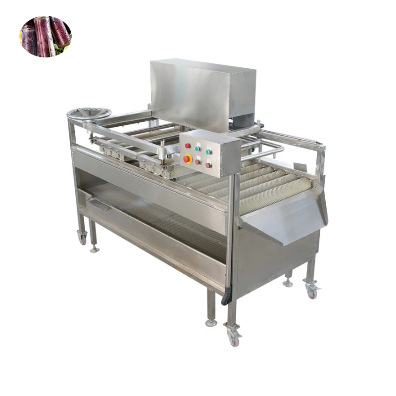 Customized Sugarcane Cleaner Vegetables and Fruit Processing  Machine Sugar Cane Cleaning