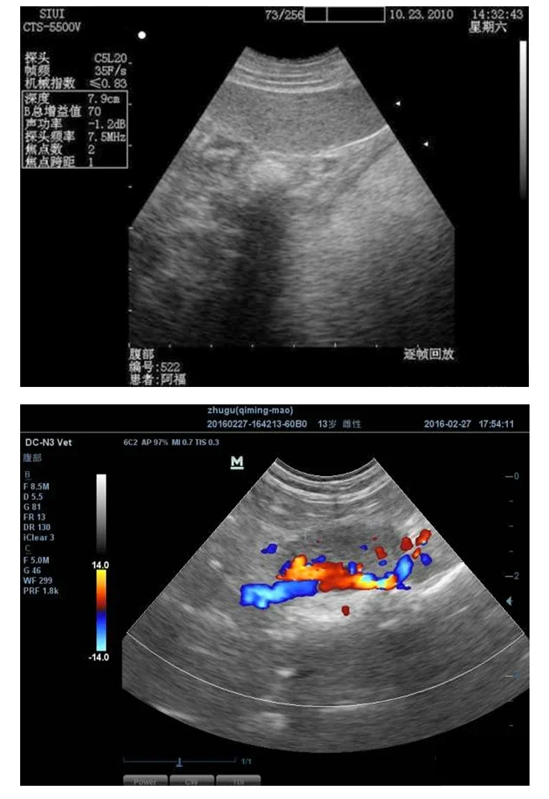 HF-K10 Mindray Ultraschall gerät Veterinär Ultraschall geräte zum Verkauf