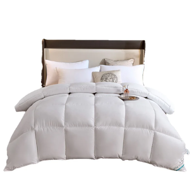 Imagem -03 - Consolador Acolchoado Goose Down Edredon Conforto Perfeito Duplo Tamanho Único Inverno Cobertor Grosso Roupa de Cama Cor Sólida 100 Goose