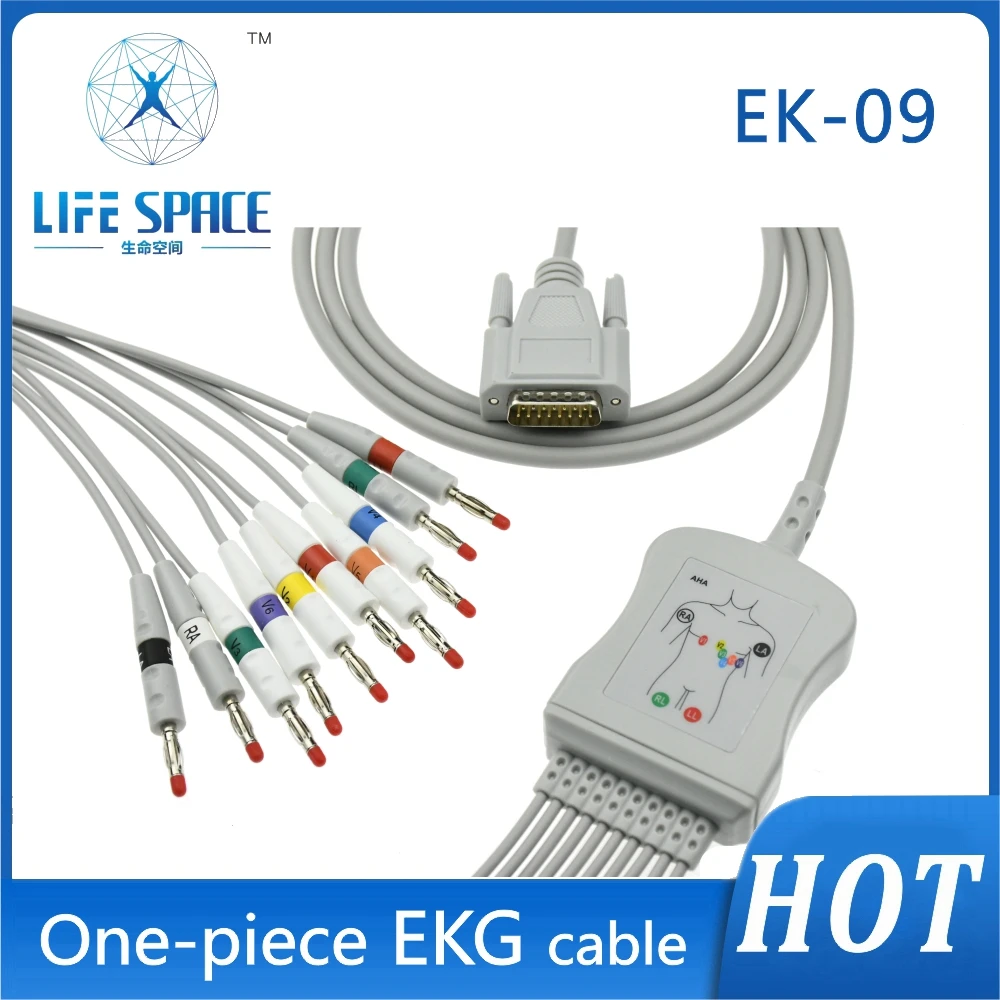 Ecg Ekg Cable Leadwires One Piece 10 Leads Wires Clip Snap Ecg Cable 4.0 Banana Compatible Carewell Electrocardiograph