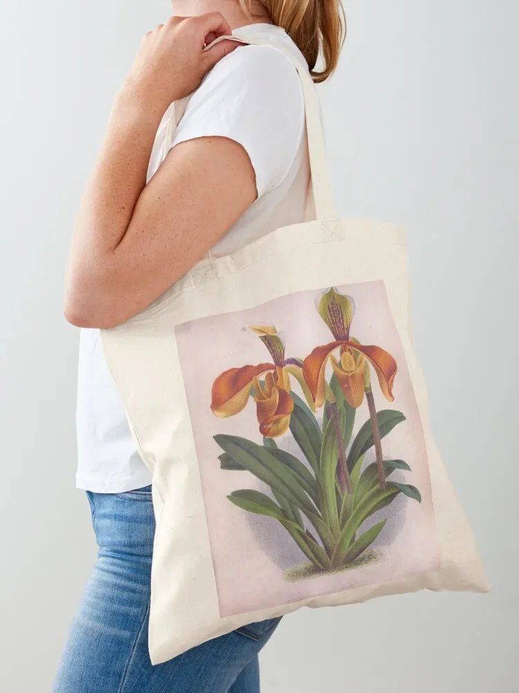 Pretty Orange Vintage Orchids Cypripedium Villosum Tote Bag female bag canvas custom Women's