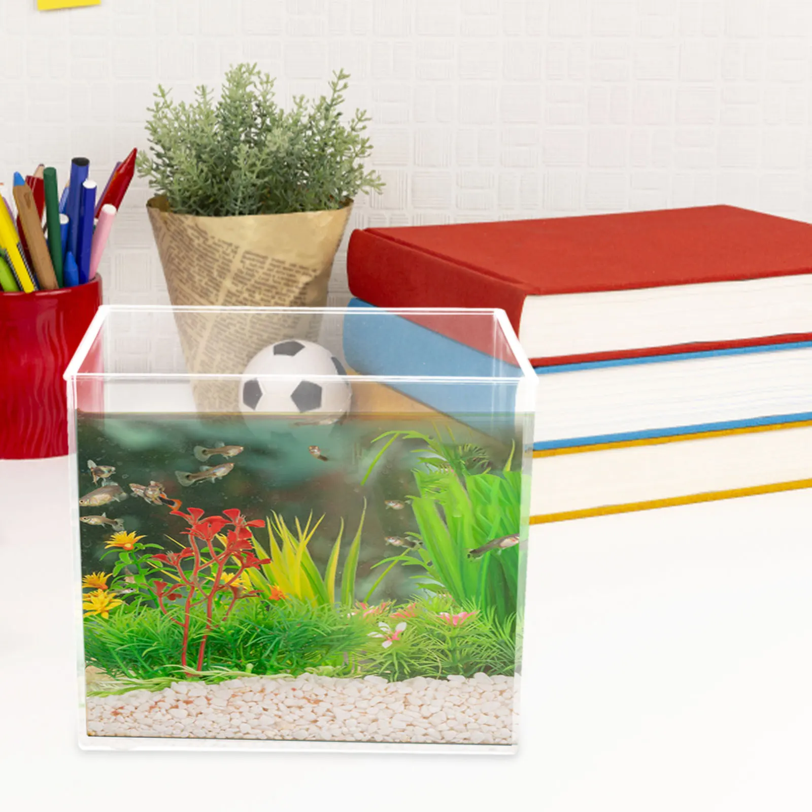 

Mini Fish Tank Clear Desktop Betta Plastic Large Container Hydroponic M Size Square Aquarium Planter Turtle Tank Small for Fish