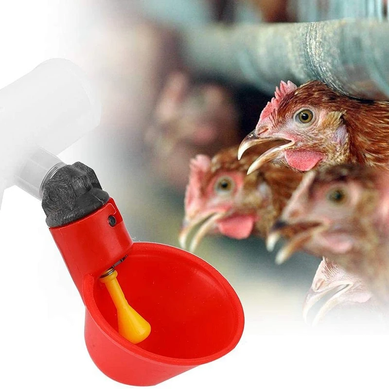 Chicken Drinking Cup 10 Pieces Automatic Drinker Drinker Red Plastic Duck Bird Quail Pigeon Hen Drinker Bowl