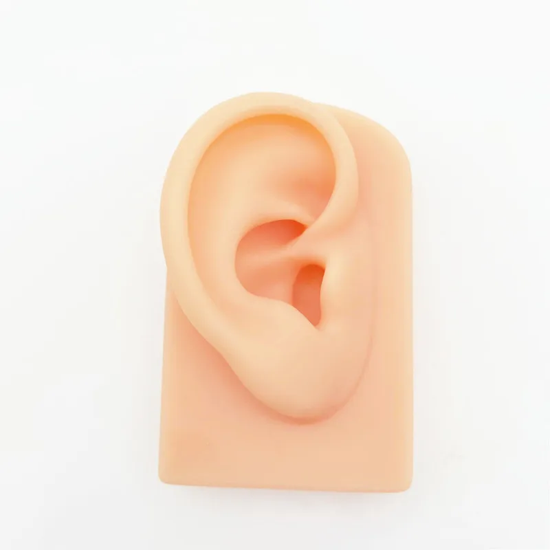 Ear Model Kit Soft Silicone Ear Model for Acupuncture Study Practice Piercing Jewelry Earring Ear Stud Display 1 set