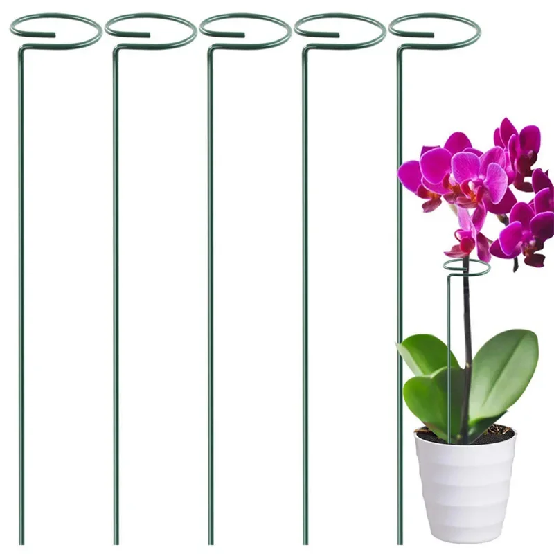 

10PCS Garden Support Stake Ring Metal Garden Plant Supports 40CM Bonsai Supports Single Stem Shrub Holder