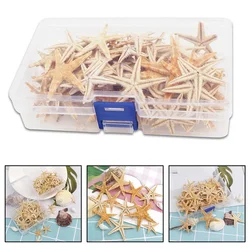 20/50/100pcs Starfish Seashell Practical Mixed Starfish Seashell Natural Mixed Reusable Realistic White Star Fish Tank Decor