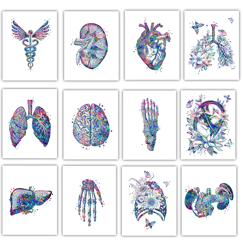 Anatomy Medical Poster Flower Organ Wall Art Canvas Painting Anthropology Educational Picture for Laboratory Doctor's Room De