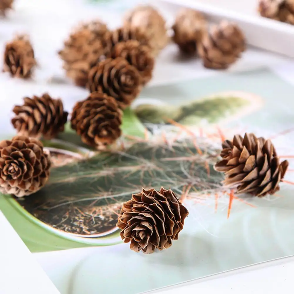 20Pcs Attractive Fake Pine Cone Widely Use Natural Decorative DIY Simulation Pinecone for Festival Home Decoration Diy Wreath