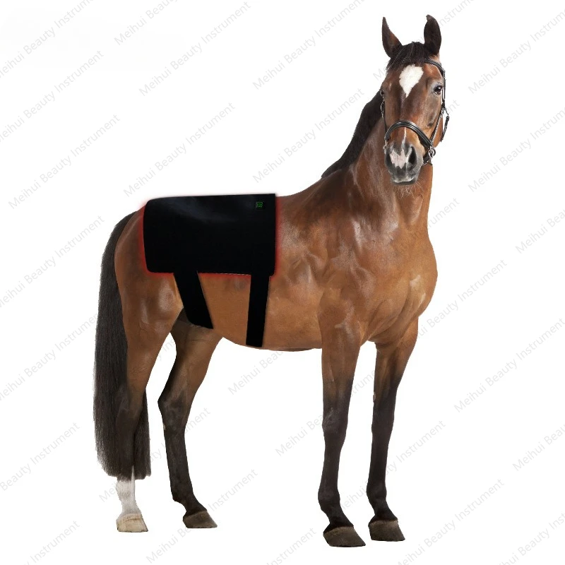 Horseback Red Light Infrared Therapy Device for Abdominal Muscle Relaxation, Fracture Healing, Wireless Portable Timing