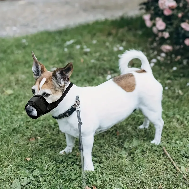 Weiche Hundemaulkorb, atmungsaktiver Mesh-Maulkorb für kleine, mittelgroße und große Hunde, verstellbare Mundabdeckung, um Beißen und Bellen zu verhindern. – Detail 8
