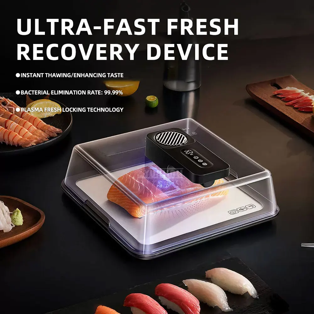 Home style steak defroster, quick defrosting tool, fresh-keeping meat dish, defrosting heat transfer plate