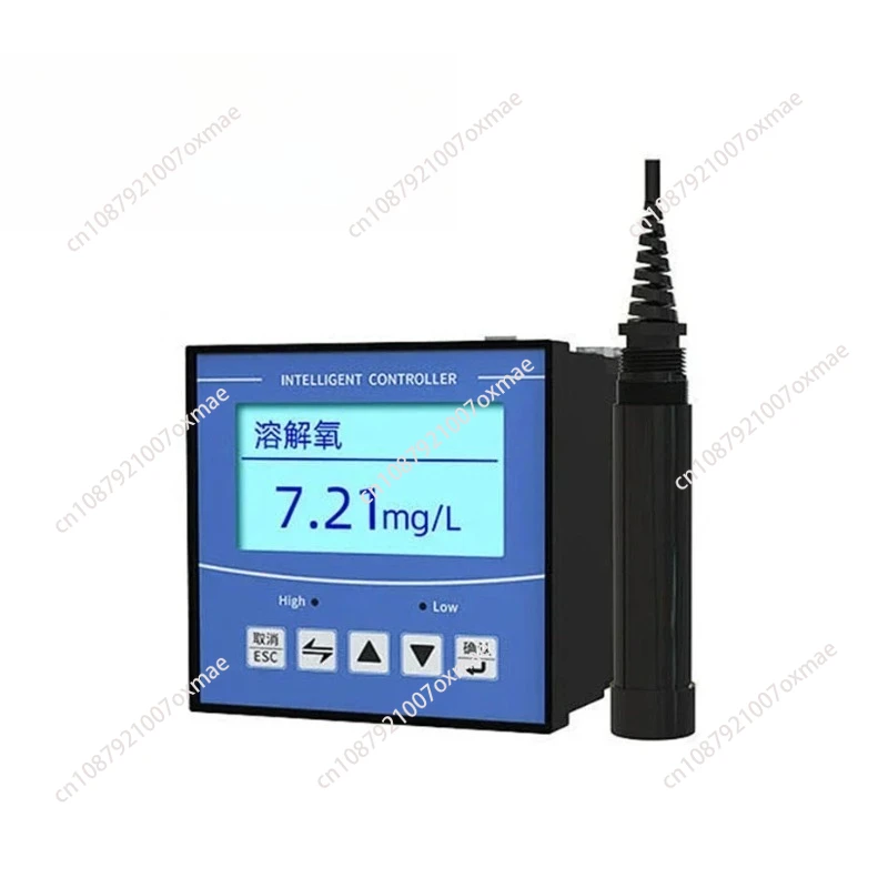 Real Time Dissolved…