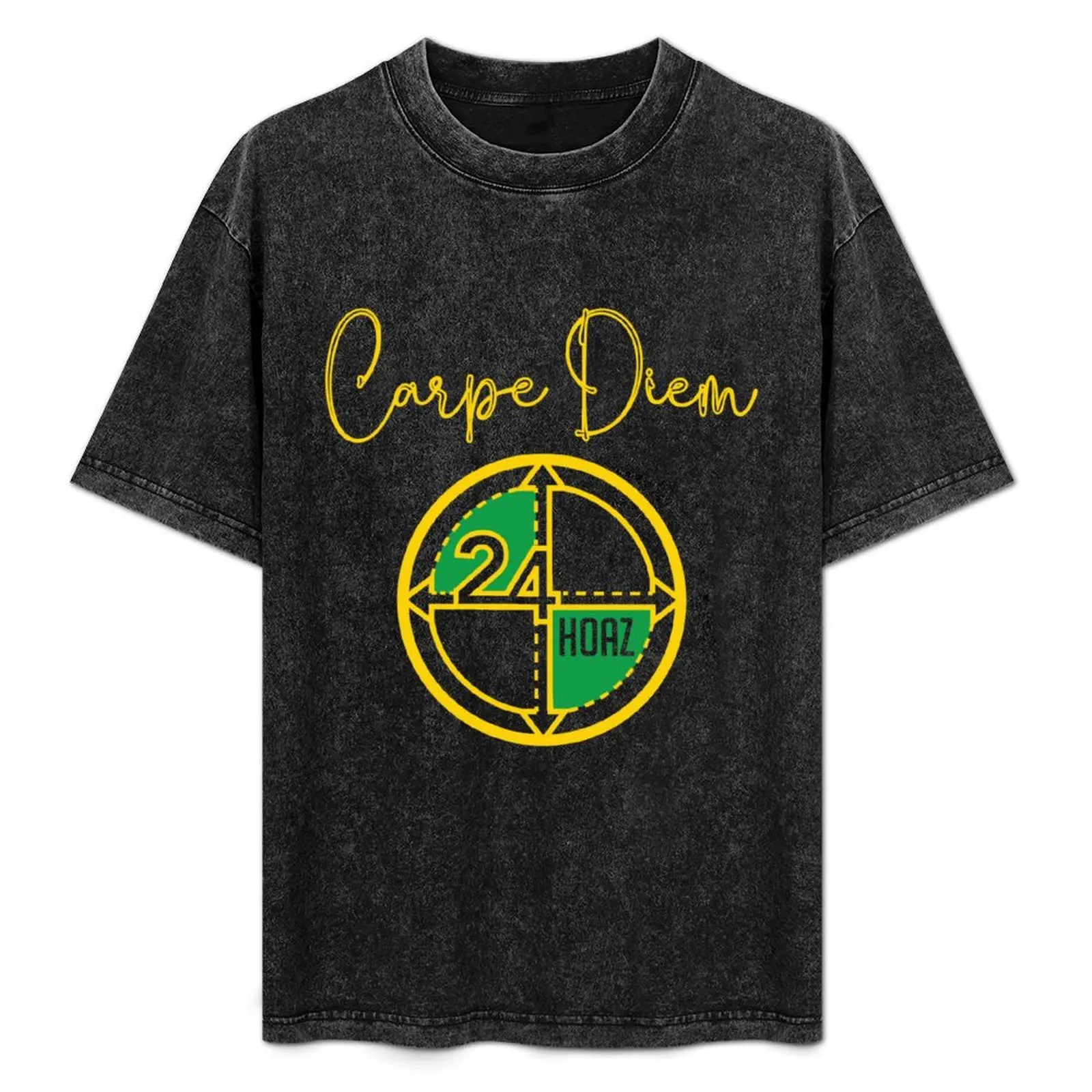 

Carpe Diem, seize the day, moment, opportunity T-Shirt Work Outdoor T-Shirt for Men