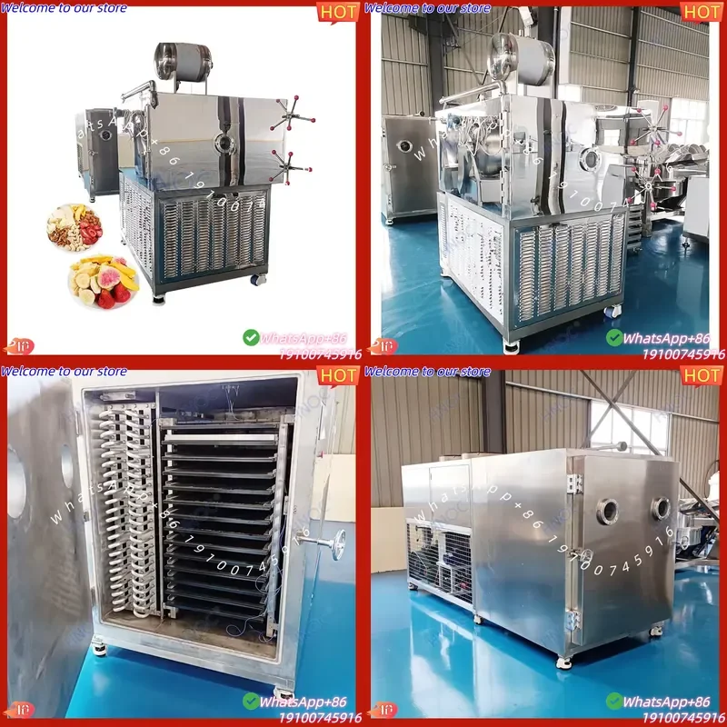 2026 China Manufacturer 1500kg Dryer Trade Thailand 40m2 Dried Machine Liofilizador for Candy