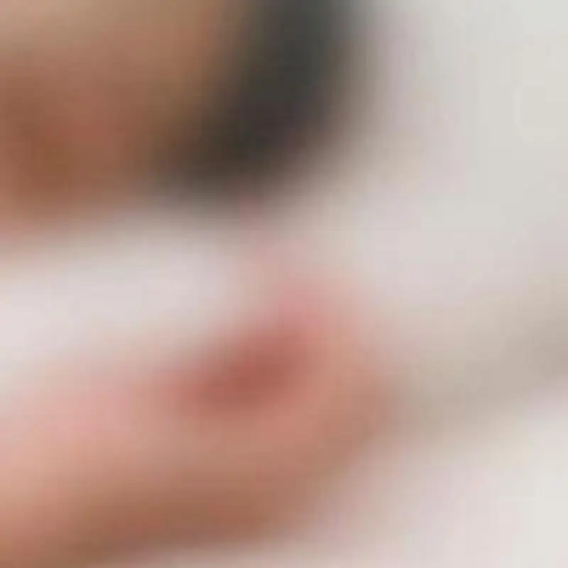 

Автоматический освежитель воздуха и масляный диффузор с таймером для дома, гостиницы, ванной комнаты — 3 бутылки с ароматом