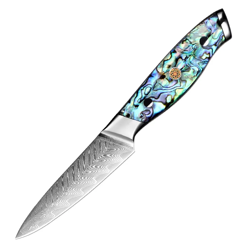 

Damascus 3.5 Inch Fruit Knife Japanese Damascus Steel Sharp Paring Knife Kitchen Small Knife for Cutting Full Tang Peeling Knife