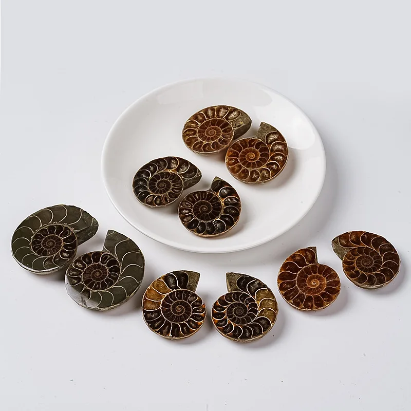 

Natural Stone Pendants Loose Beads Charms for DIY Jewelry Making Accessories Raw Stone Ore Specimens Home Decoration Supplies