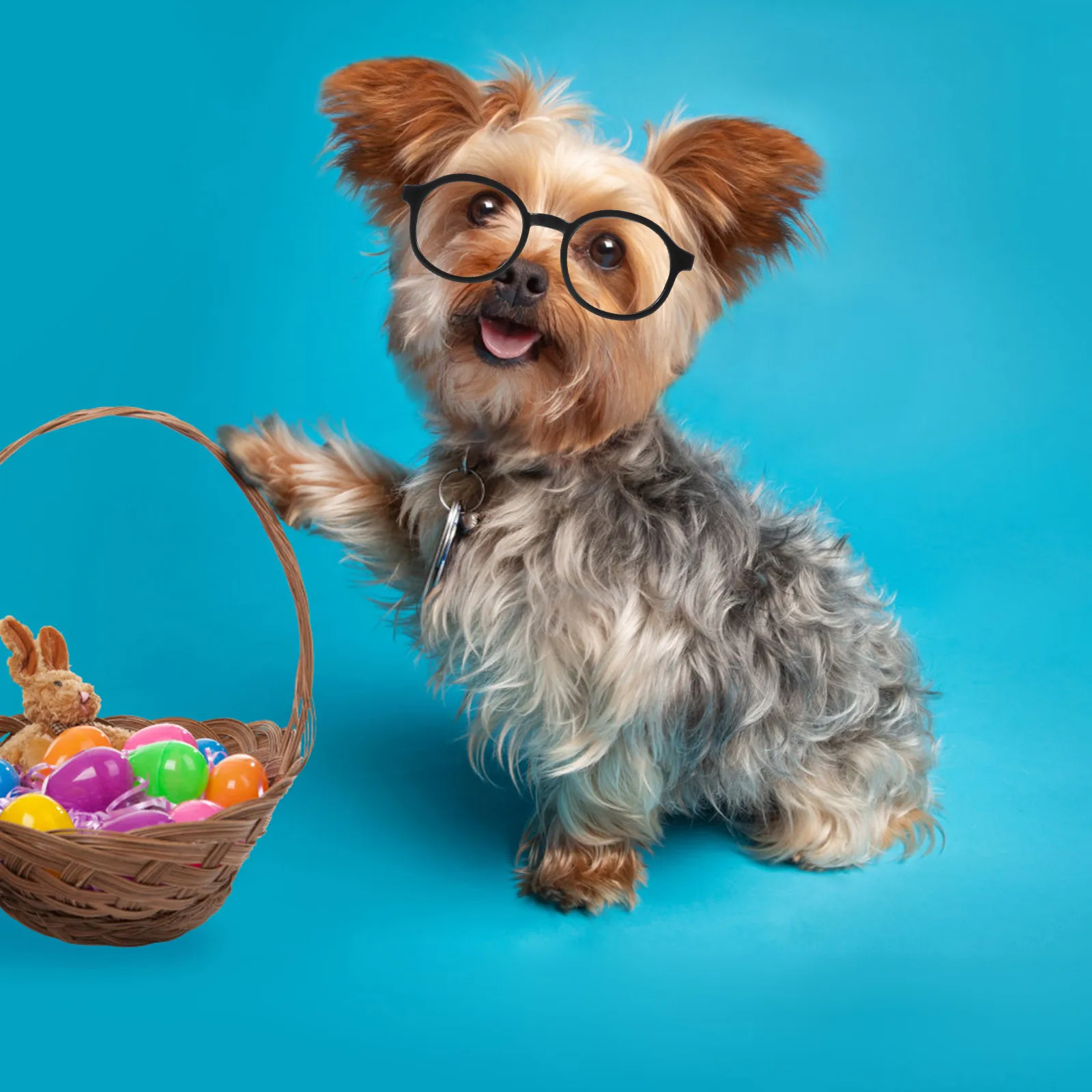 

4Pcs Small Dog Glasses Fashionable Pet Sunglasses Dust Protection Lightweight Comfortable Puppy Glasses Decoration Photo Taking