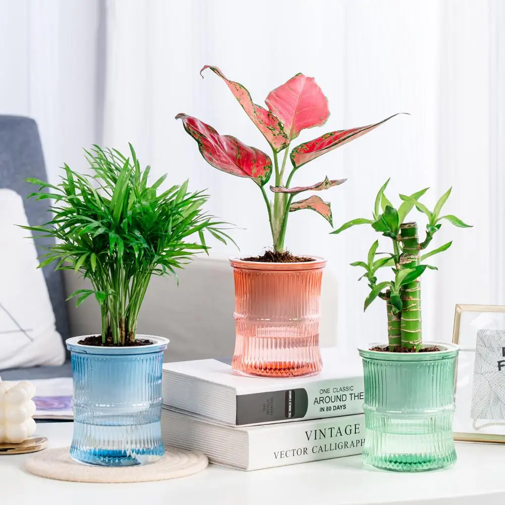 Maceta de Vidrio con Autorriego, Color Degradado, Florero Hidropónico Transparente, Maceta para Plantas de Interior