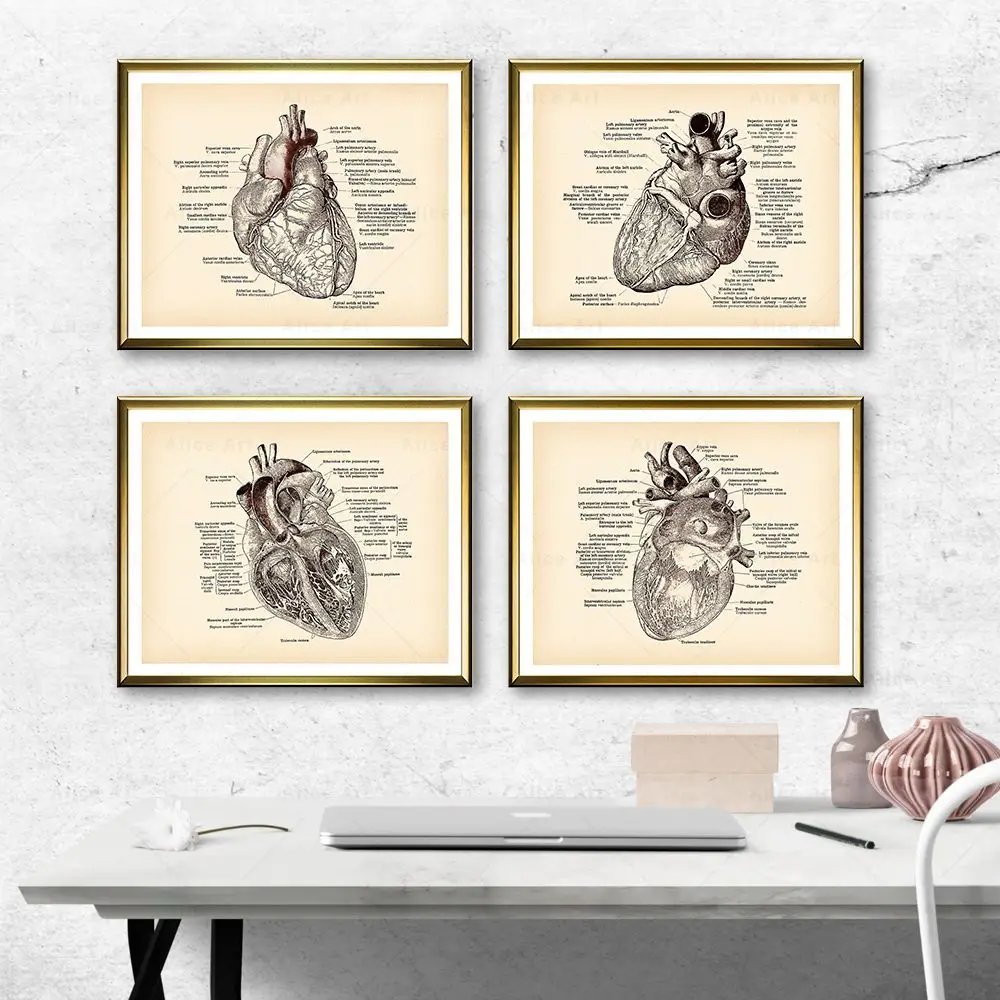 Vintage Human Heart Anatomy Art Poster Medical Wall Picture Heart Blood Vessel Canvas Painting Cardiologist Doctor Clinic Decor