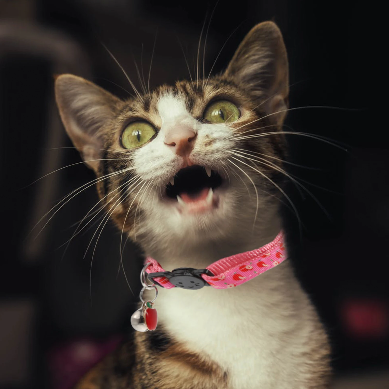 

Fruit Pattern Pet Collar for Dogs Decorative Adjustable Bright Comfortable Easy Day Unique Gift Cat Bell