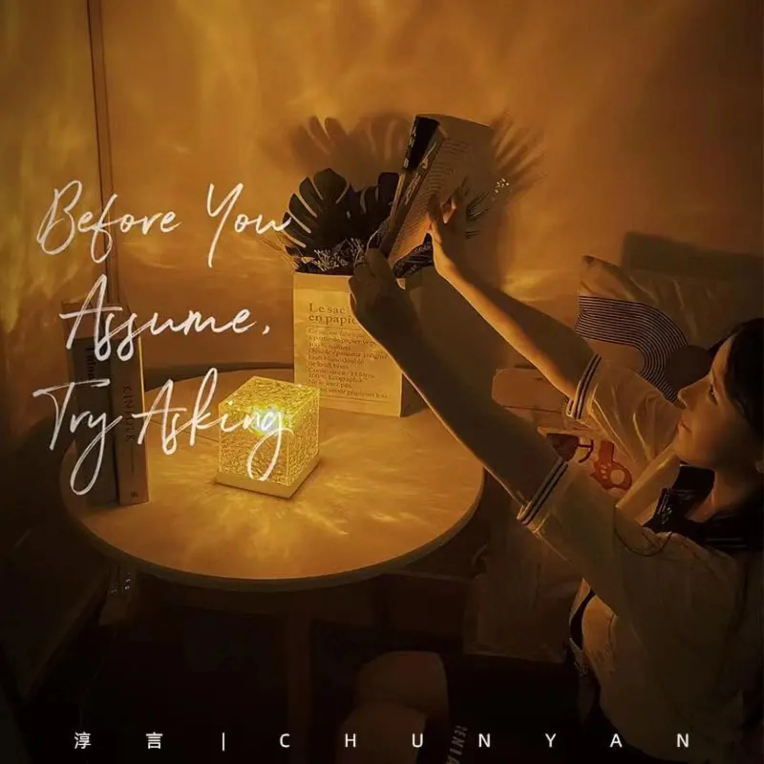 Xubialo Crystal Light Lamp Color Changing Lamps Table Lamp with Touch & Remote Control,  LED Night Light Rechargeable Ros