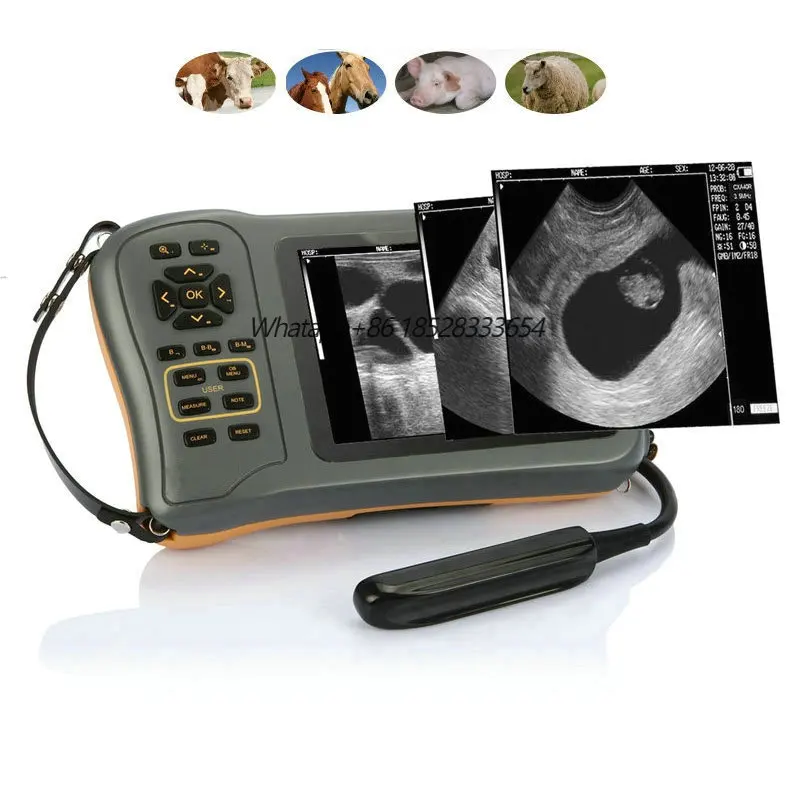 Portable Handheld Scanner Cattle and Horse Detection Veterinary Ultrasound Machine