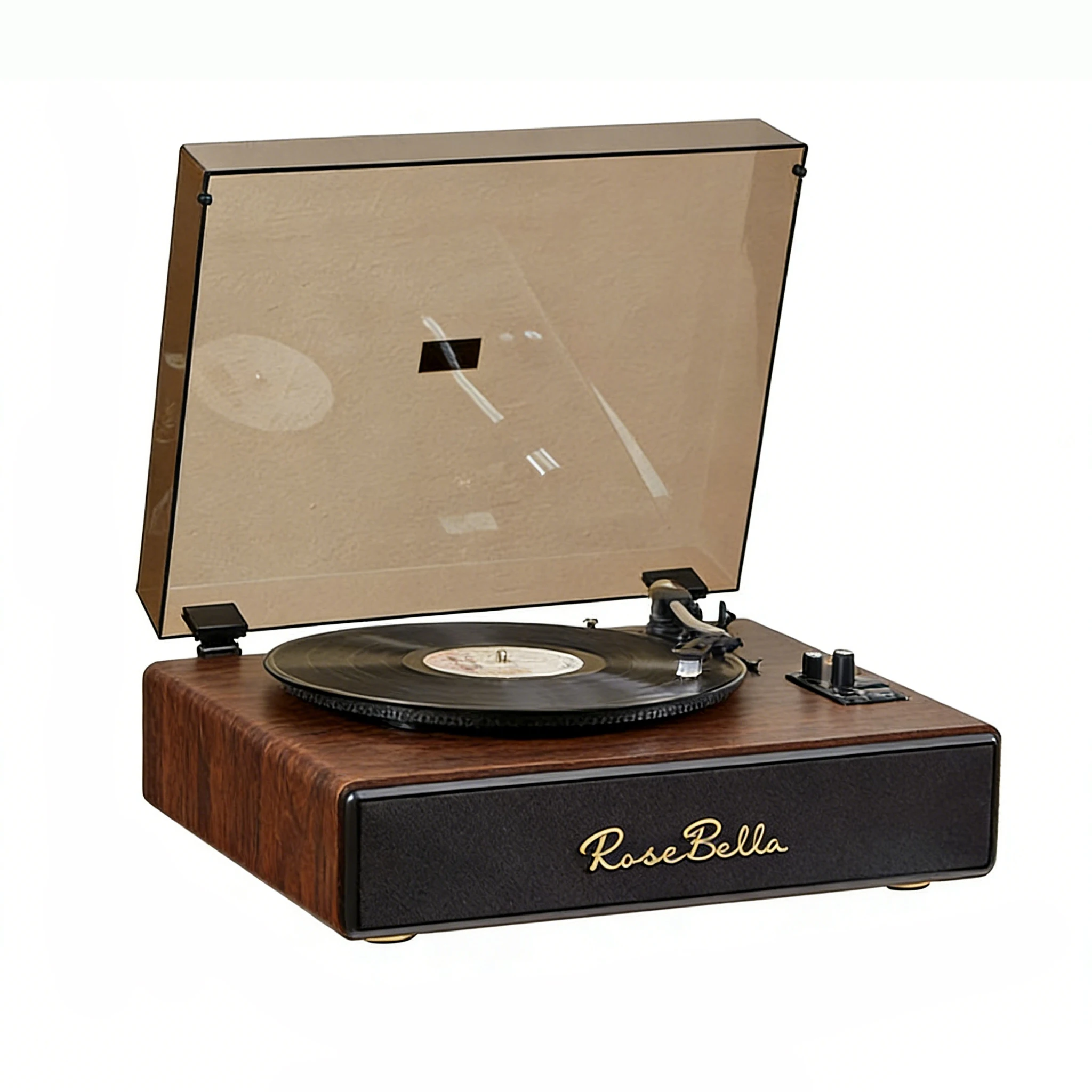 

Multifunctional Turntable BT 5.3 USB FM Radio Built-in Battery for Home Audio and Vintage Decor