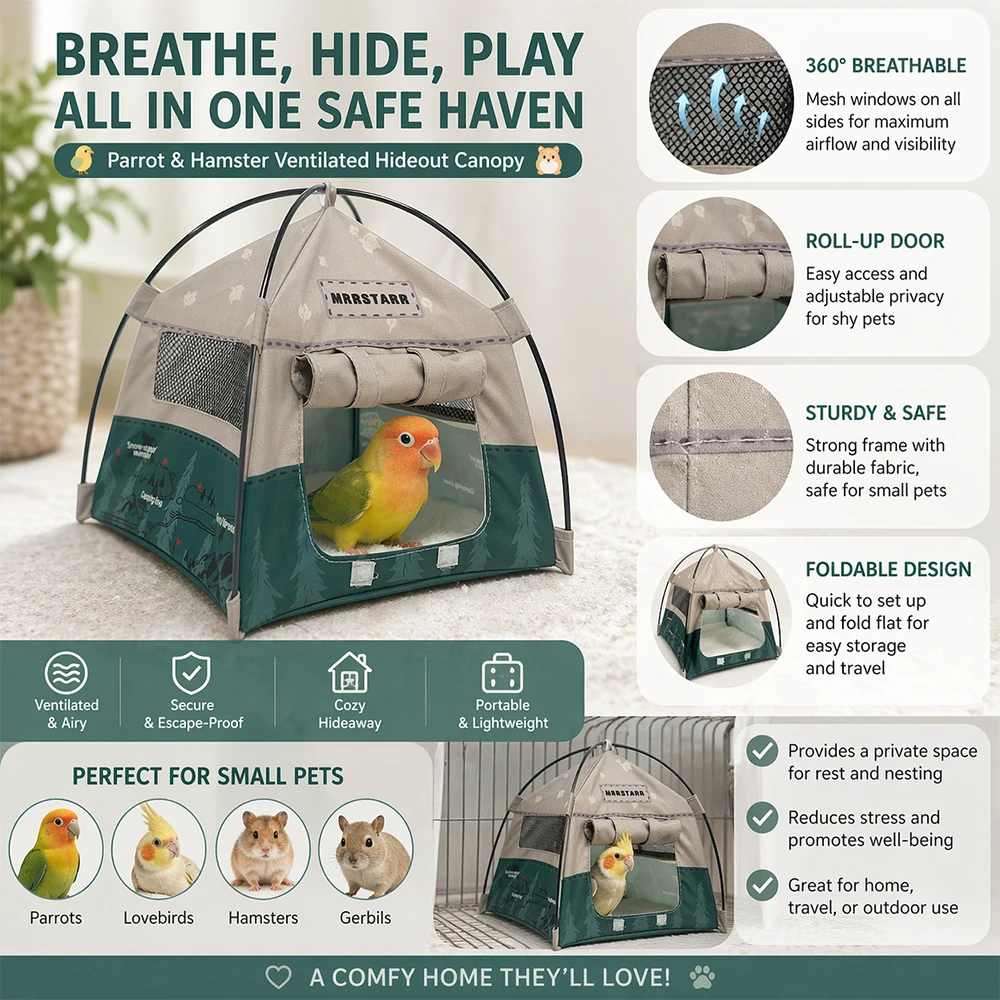 Thumbnail 3 - #35 Hamster Habitats List of Top Picks