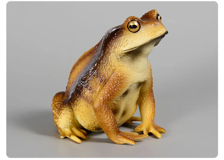 Pädagogische realistische Krötenfrosch-Figur, handbemaltes Wildtier, Insektenfigur, Gummi-Tiermodell, Spielzeug für Kinder – Detail 4