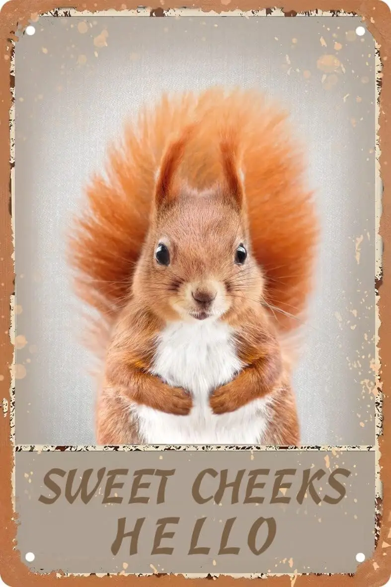 Bathroom Decor Retro Metal Tin Sign Hello Sweet Cheeks Squirrel Humorous And Funny Encouraging Gift Wall Art Home Decor