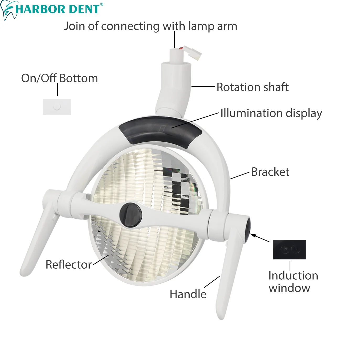 Dental Reflective Oral Light 15W LED Induction Shadowless  operation Lamp For Dentist Medical Equipment With Sensor