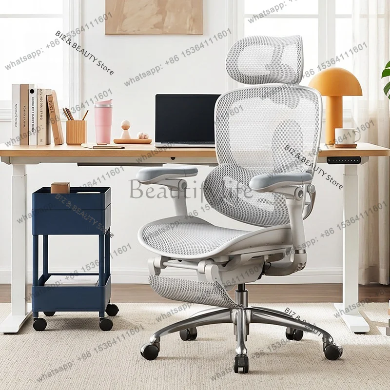 LSLuxury Ergonomic Office Chair High-Back Executive Desk Chair Lumbar Support Adjustable Computer Gaming Furniture JT40