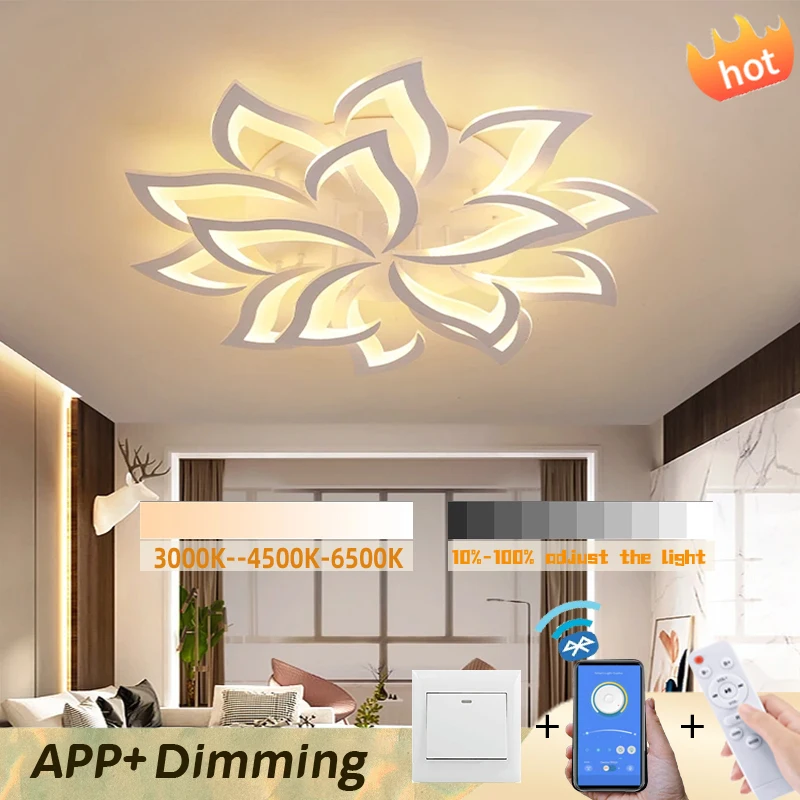 

Modern LED Ceiling Light, Smart Dimming Remote APP Control, Remote Control and App Control, Adjustable Brightness Ceiling Lights