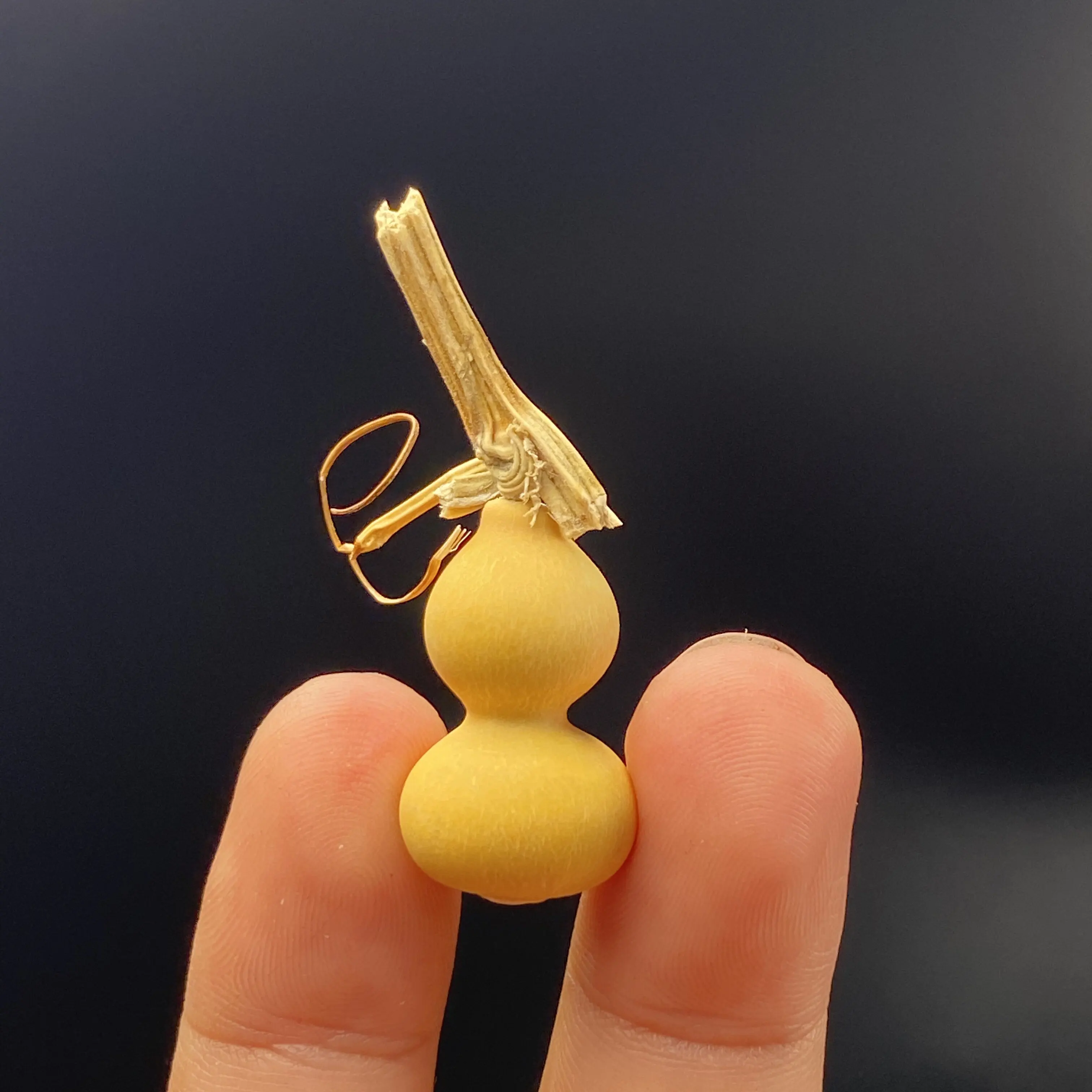 Mini Zucca Naturale a Forma di - Vintage Collectible Christmas Ornaments recensione e prezzo