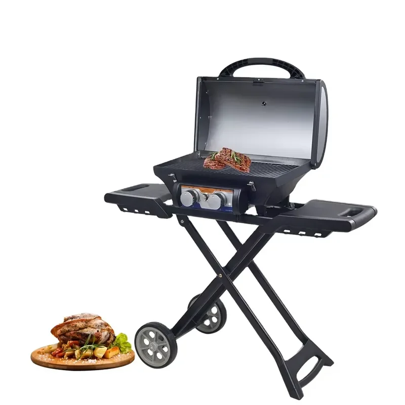 Portable 2-Burner Folding Gas Grill Mini BBQ Grill with Cast Aluminum Body Foldable Barbecue Grill for Camping Travel Garden