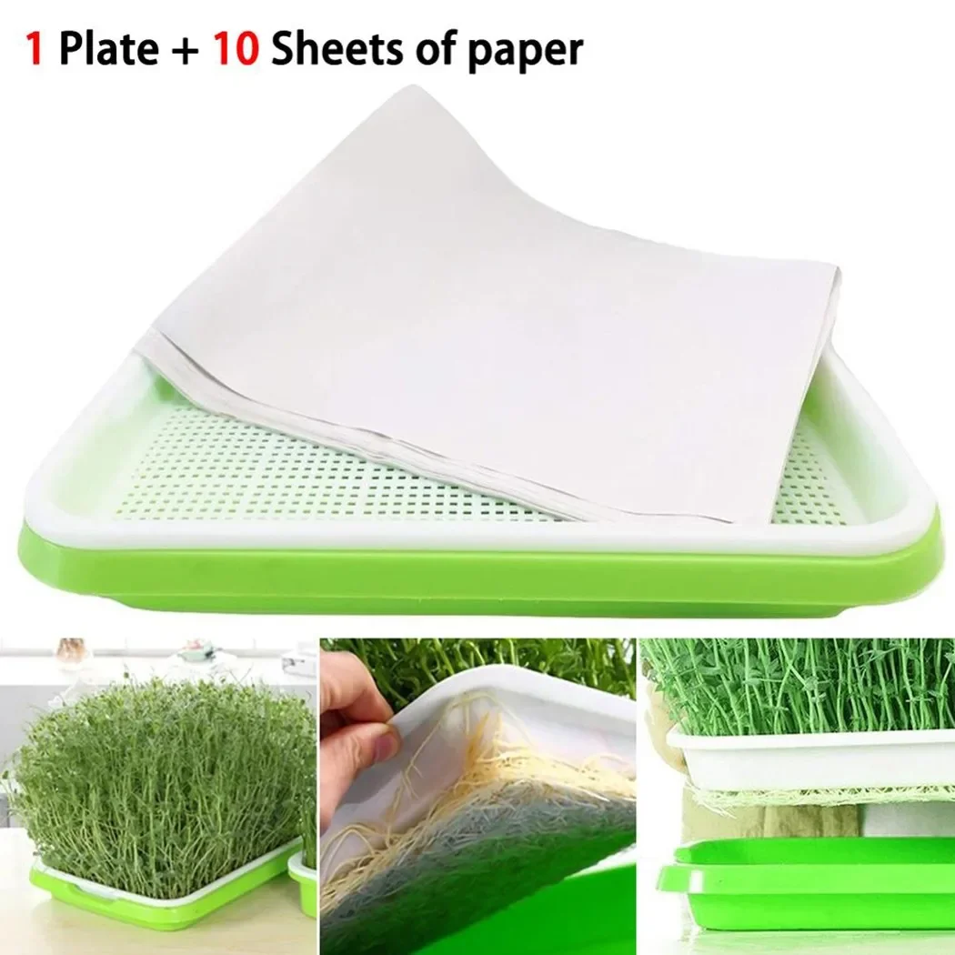 Seed Sprouter Tray Nursery Trays Large Capacity Healthy Wheatgrass Growe with 10PCS Paper Seedling Sprout Plate Hydroponic NEW