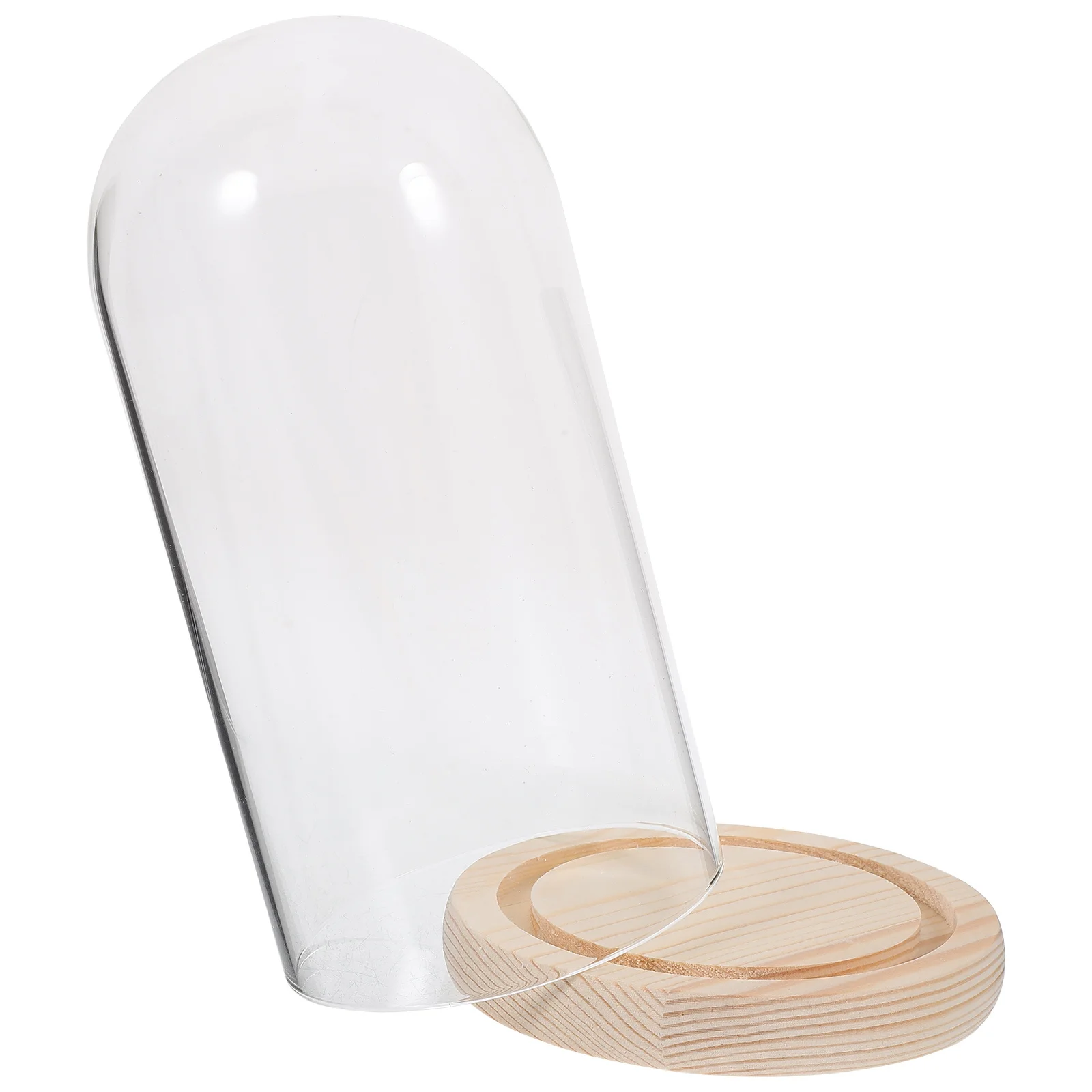 

Clear Eternal Flower Glass Dome Cloche Glass Dome with Wood Base Preserved Rose Display Case Home Office Decoration Valentine