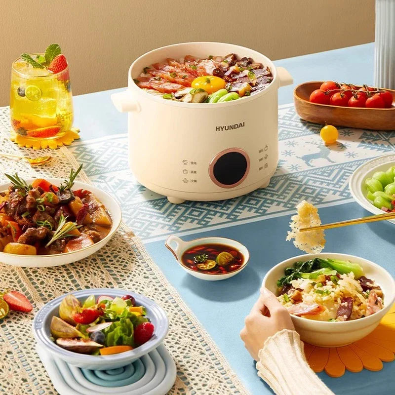 Cuiseur à riz électrique antiadhésif, mini multicuiseur, boîte à lunch, marmite, poêle, cuiseur vapeur, 2,0 L