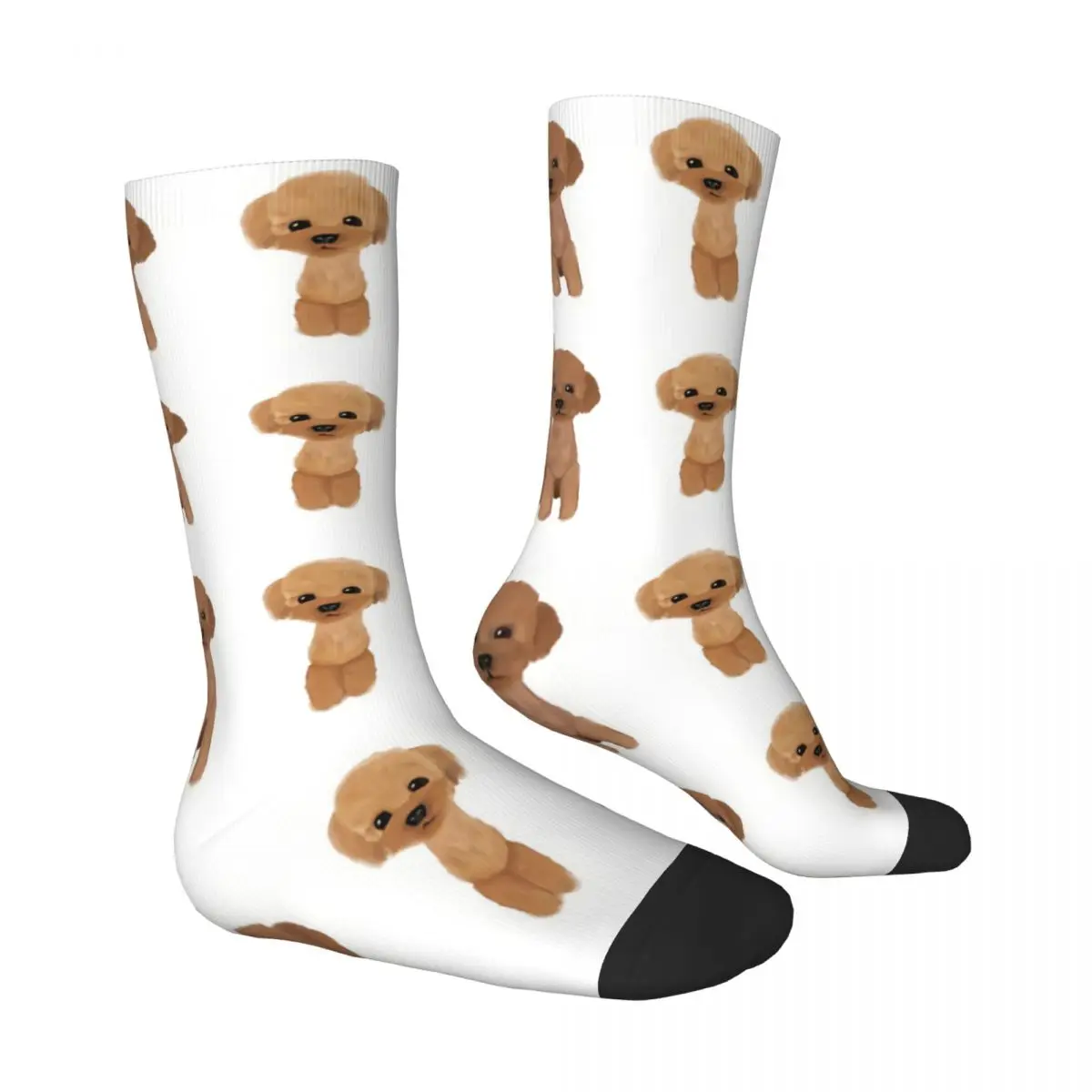 Poodle Cute Sitting Dog Men Women Socks Cycling Novelty Spring Summer Autumn Winter Stockings Gift