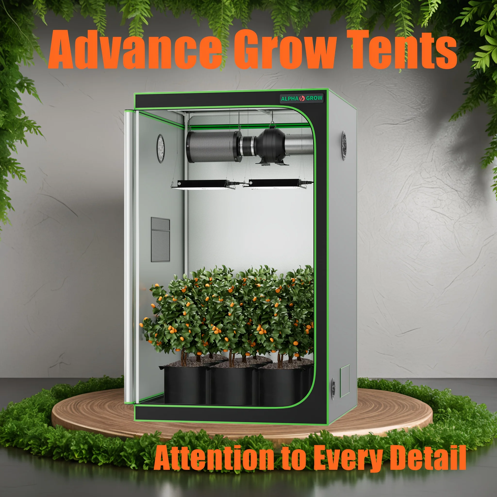 

ALPHAGROW 2x2/3x3/4x2/4x4 Ft Grow Tent Greenhouse Portable-Heavy-Duty 600D Diamond Mylar, Observation Window & Floor Tray For H